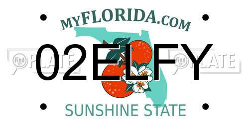 02ELFY Florida License Plate