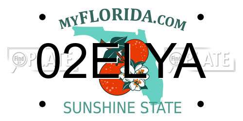 02ELYA Florida License Plate