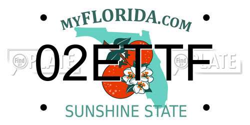 02ETTF Florida License Plate