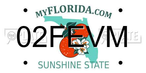 02FEVM Florida License Plate