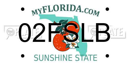02FSLB Florida License Plate