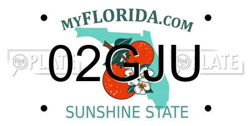 02GJU Florida License Plate