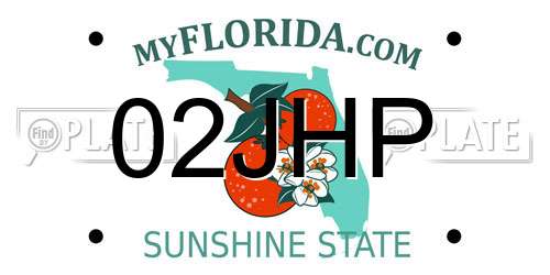 02JHP Florida License Plate