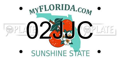 02JJC Florida License Plate