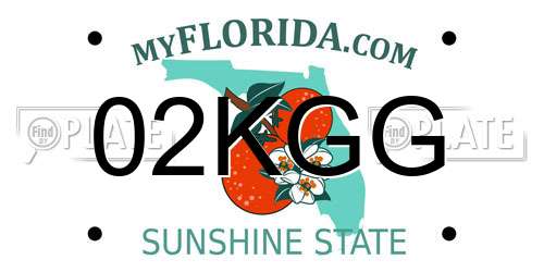 02KGG Florida License Plate