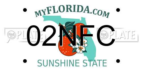 02NFC Florida License Plate