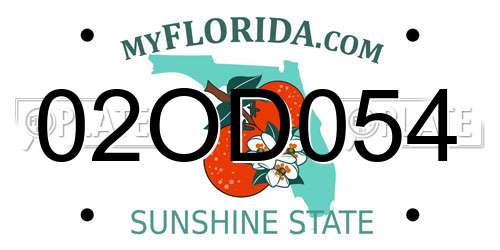 02OD054 Florida License Plate