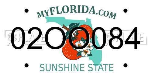 02OO084 Florida License Plate