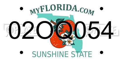 02OQ054 Florida License Plate