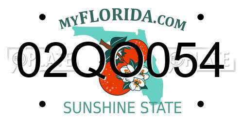 02QO054 Florida License Plate