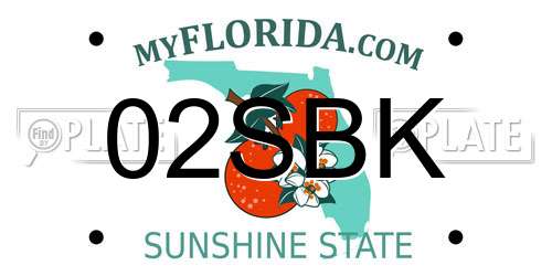 02SBK Florida License Plate