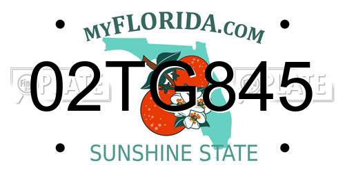 02TG845 Florida License Plate