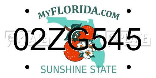 02ZG545 Florida License Plate
