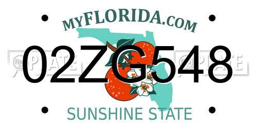 02ZG548 Florida License Plate