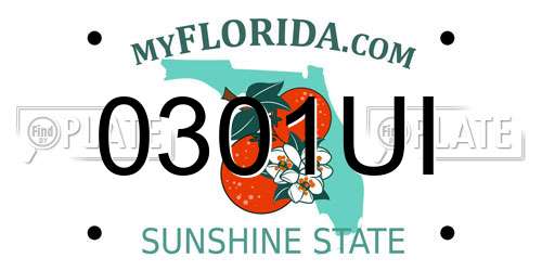 0301UI Florida License Plate