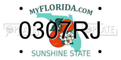 0307RJ Florida License Plate
