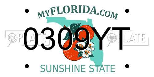 0309YT Florida License Plate