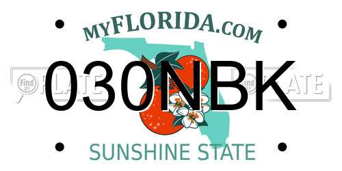 030NBK Florida License Plate