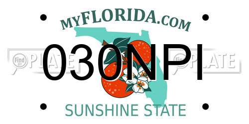 030NPI Florida License Plate