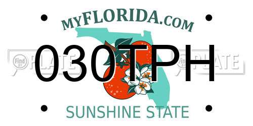 030TPH Florida License Plate