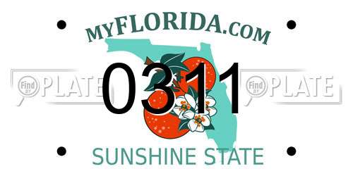 0311 Florida License Plate