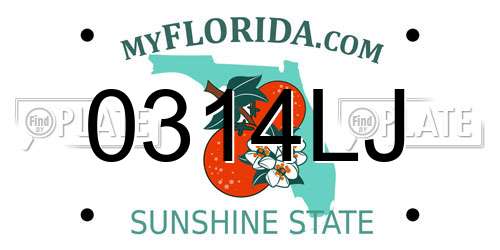 0314LJ Florida License Plate
