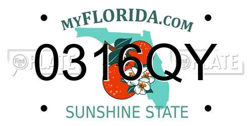 0316QY Florida License Plate