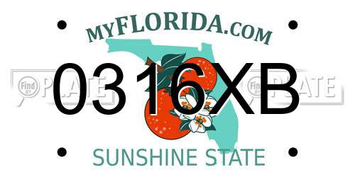 0316XB Florida License Plate