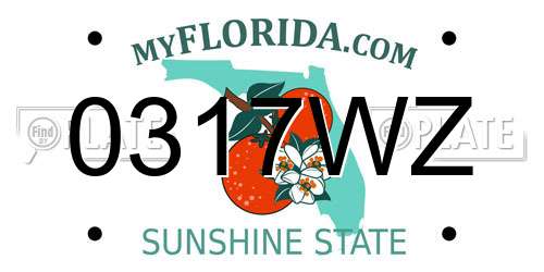 0317WZ Florida License Plate
