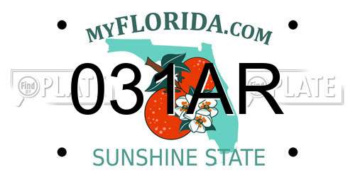 031AR Florida License Plate