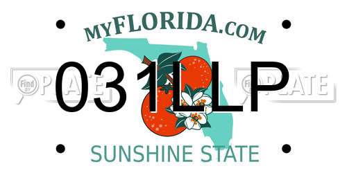 031LLP Florida License Plate