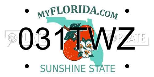 031TWZ Florida License Plate