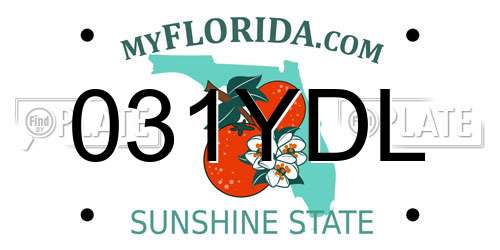 031YDL Florida License Plate