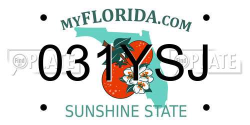 031YSJ Florida License Plate
