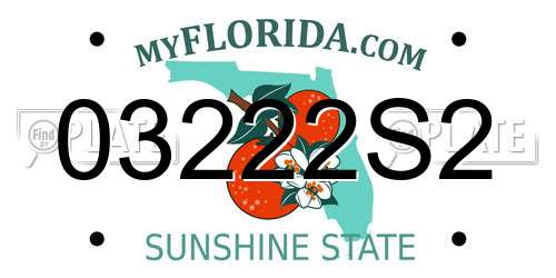 03222S2 Florida License Plate