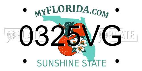 0325VG Florida License Plate