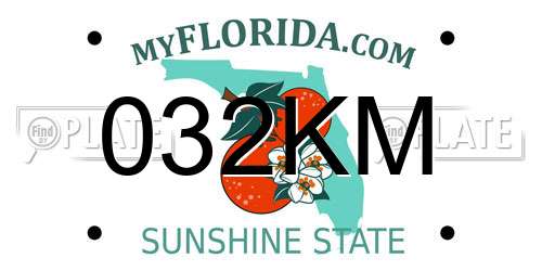 032KM Florida License Plate