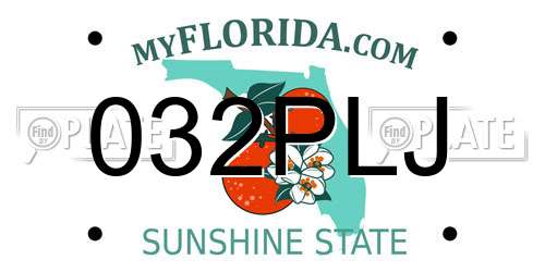 032PLJ Florida License Plate