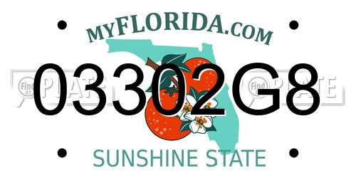 03302G8 Florida License Plate