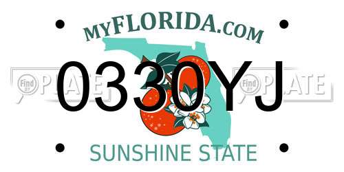 0330YJ Florida License Plate
