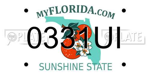 0331UI Florida License Plate