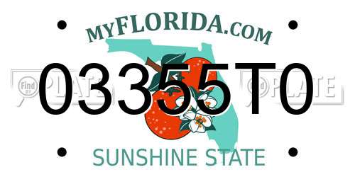 03355T0 Florida License Plate