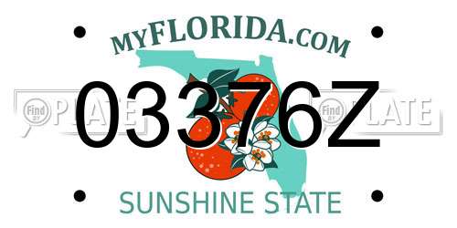 03376Z Florida License Plate