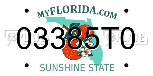 03385T0 Florida License Plate