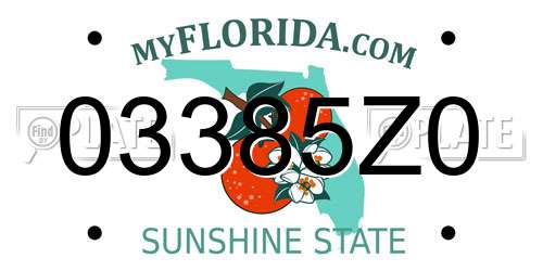 03385Z0 Florida License Plate