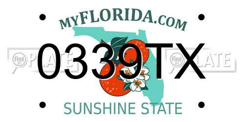 0339TX Florida License Plate