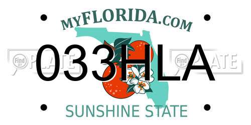 033HLA Florida License Plate