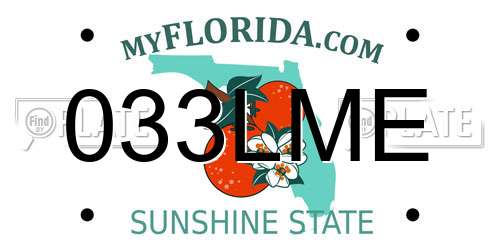 033LME Florida License Plate