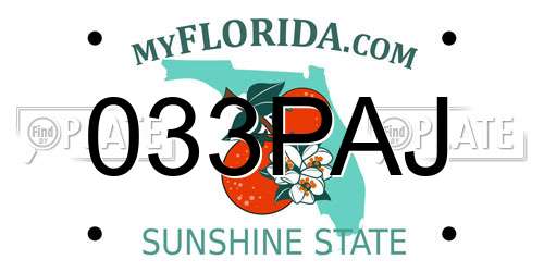 033PAJ Florida License Plate