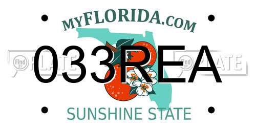 033REA Florida License Plate